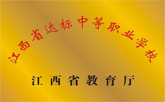 中等达标职业学校