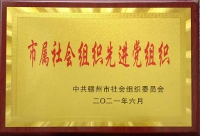 市属社会组织先进党组织