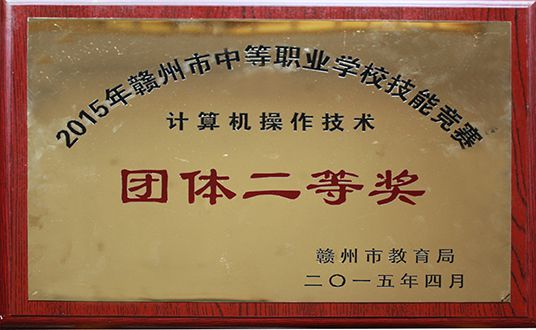 2015年计算机操作技术团体二等奖